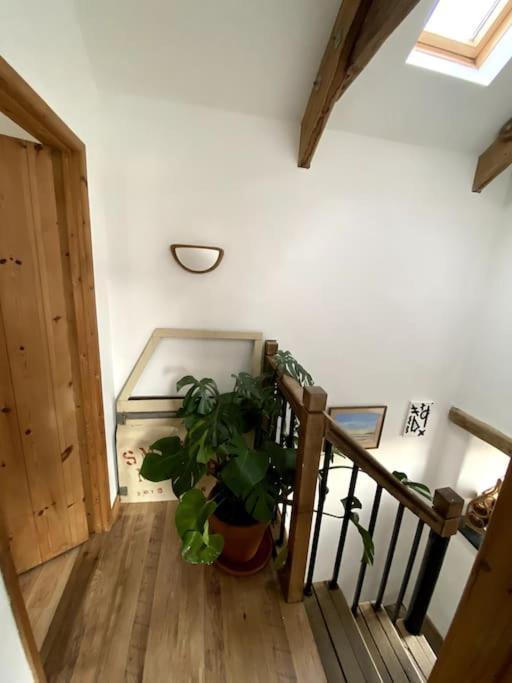 9A Viaduct Cottage - The Cosiest Bolthole In The Sw! Hayle Esterno foto